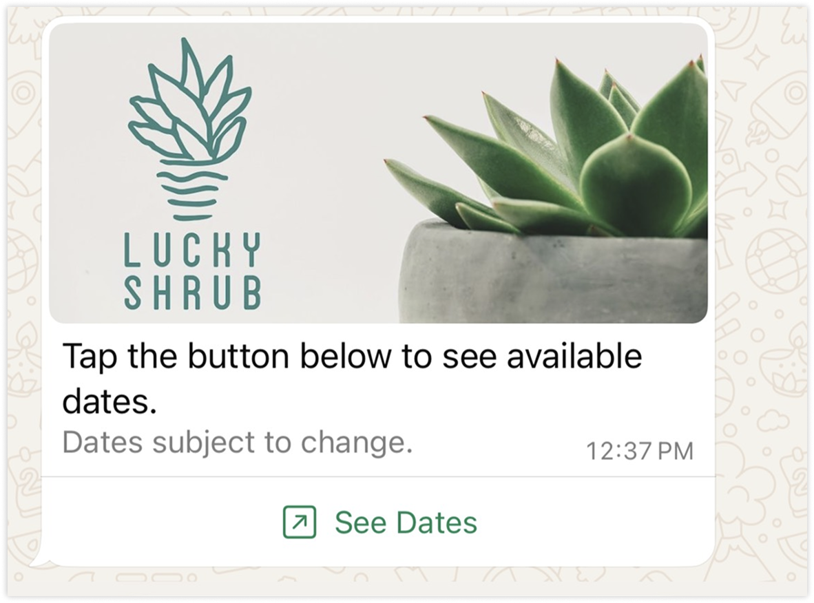 Interactive Call-to-Action URL Messages